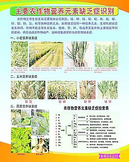 農(nóng)業(yè)技術(shù)展板圖片