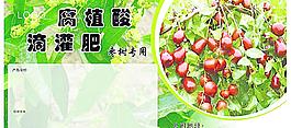紅棗肥料圖片
