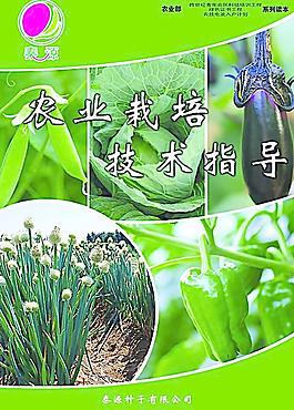 蔬菜圖片
