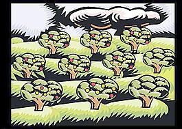 彩色版畫 矢量果園圖片