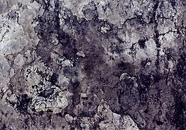 位圖 特殊紋理 免費(fèi)素材