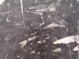 位圖 特殊紋理 免費(fèi)素材