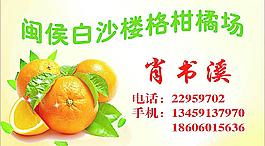 名片圖片