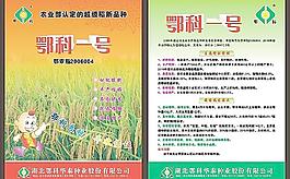 鄂科一號圖片