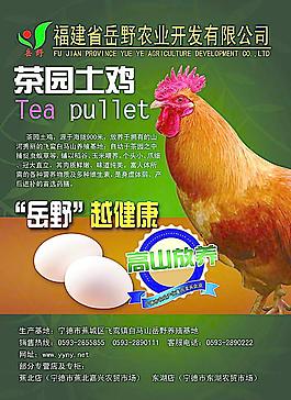 戶外燈箱圖片