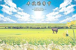 豐收的季節圖片