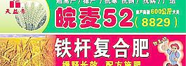 小麥地金色麥穗圖片
