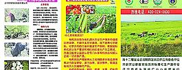 公司基地展示介紹圖片