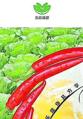 蔬菜圖片