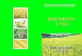 小麦画册图片