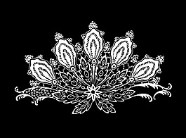 實物面料 蕾絲 免費素材
