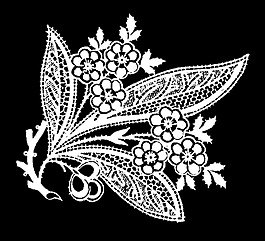實(shí)物面料 蕾絲 免費(fèi)素材