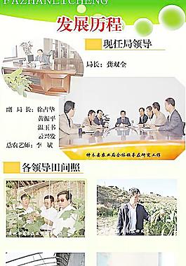 發(fā)展歷程圖片