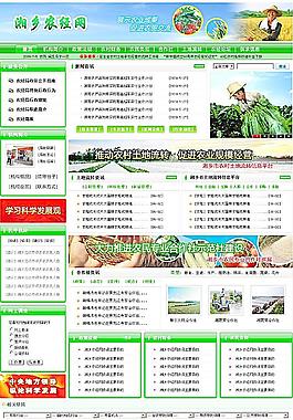 網(wǎng)站圖片