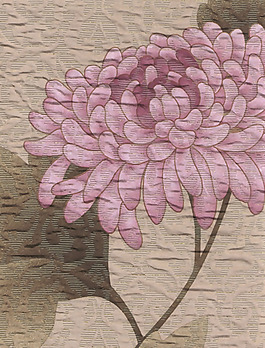 實物面料 提花 免費素材