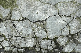 位圖 特殊紋理 免費素材