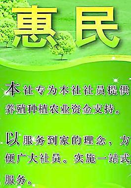 银行展架图片