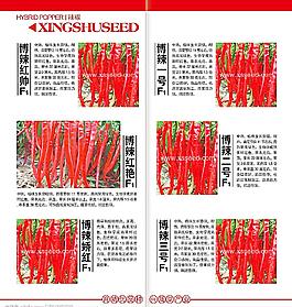 宣傳手冊內(nèi)頁模板圖片