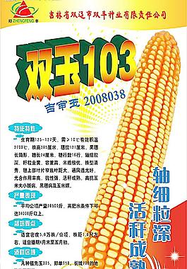 雙玉103圖片
