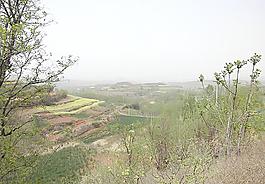 田野图片