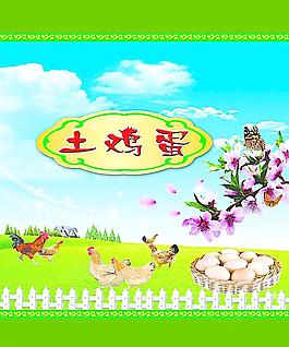 土鸡蛋包装图片