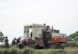 收割機(jī)圖片