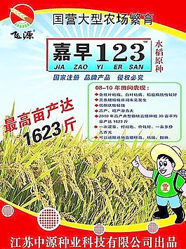 水稻宣傳單圖片