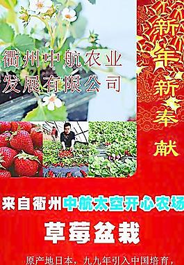 中航草莓采摘展架圖片