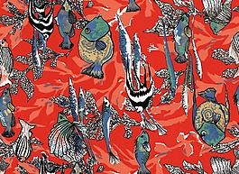 位圖 動(dòng)物 魚 免費(fèi)素材