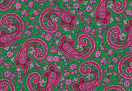 位圖 植物 佩斯利渦旋紋 免費(fèi)素材