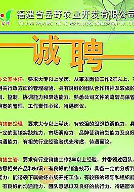 招聘模板圖片