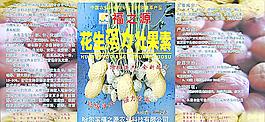莊果素圖片