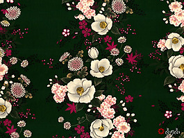 位圖 植物 花朵 免費(fèi)素材