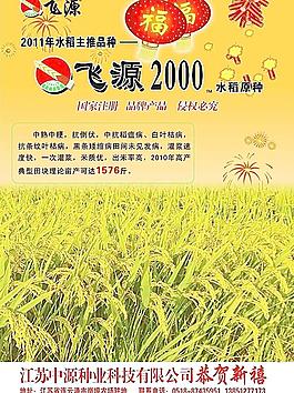 水稻宣傳單圖片