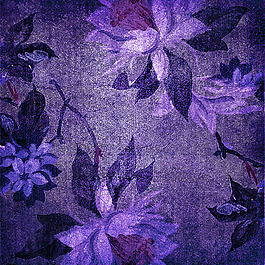 位圖 植物 花朵 免費(fèi)素材