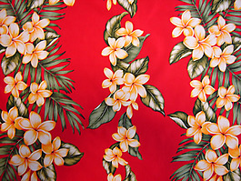 位圖 植物 花朵 免費(fèi)素材
