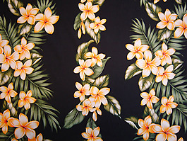 位圖 植物 花朵 免費(fèi)素材