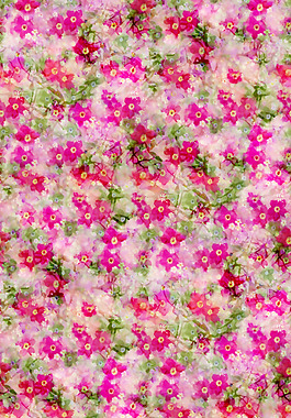 位圖 植物 花朵 免費素材