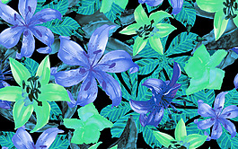 位圖 植物 花朵 免費(fèi)素材