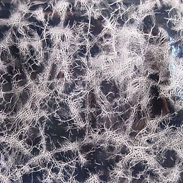實(shí)物面料 皮革 皮質(zhì) 免費(fèi)素材