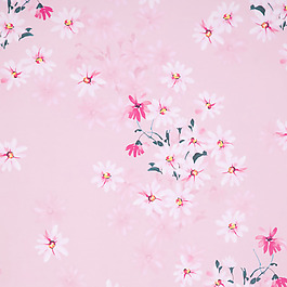 位圖 植物 花朵 免費素材