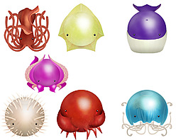 海洋生物素材