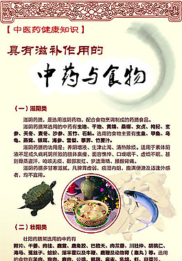 中藥與食物
