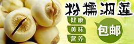 東北蓮子鉆展促銷圖