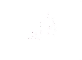 圓點flash動畫素材