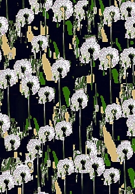 位圖 植物 花卉 免費(fèi)素材