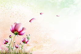 花紋