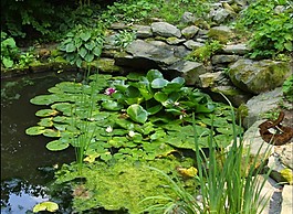 湖水flash動畫