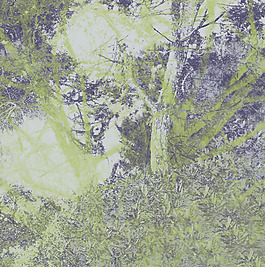 位圖 休閑風(fēng) 植物 免費(fèi)素材