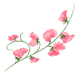 花卉     印花      花素材